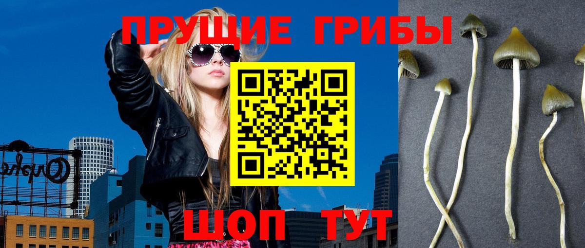 Галлюциногенные грибы мухоморы  Вход с VPN  Клин 