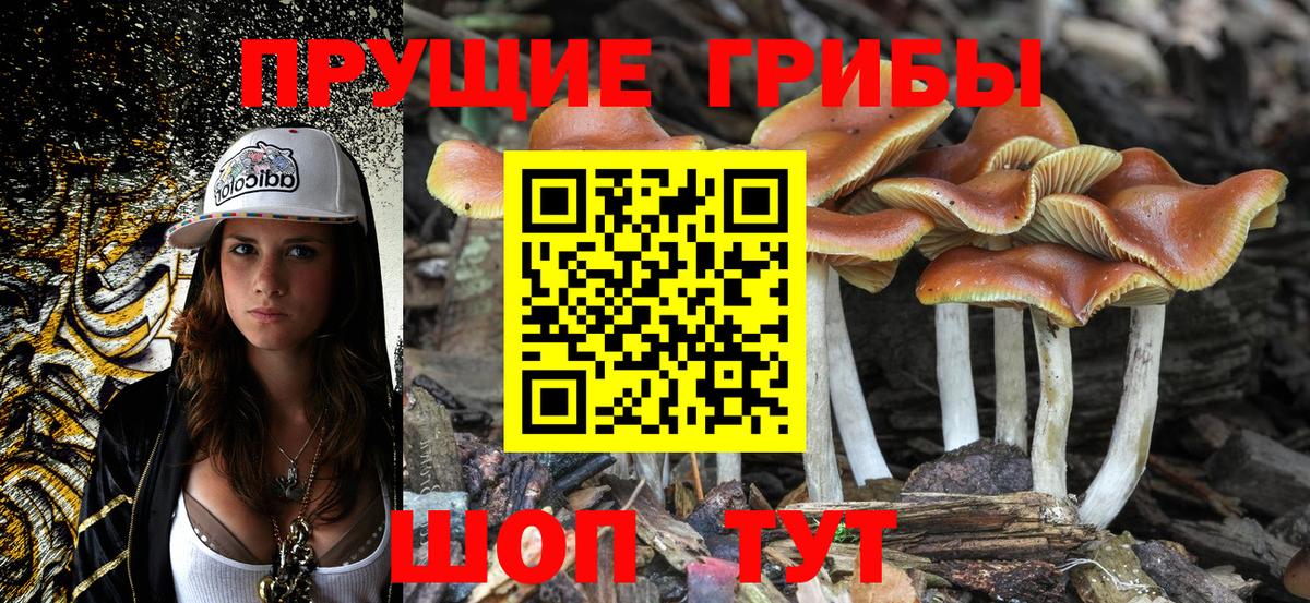 Псилоцибиновые грибы Magic Shrooms Клин